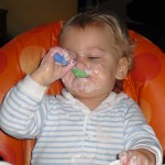 blake yogurt blake yogurt