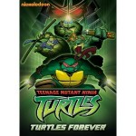 teenage mutant ninja turtles turtles forever teenage mutant ninja turtles turtles forever