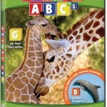 animal ABC animal ABC