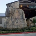 great wolf grapevine