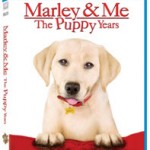 marley and me puppy years marley and me puppy years