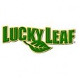 lucky leaf logo