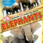 elephants dvd