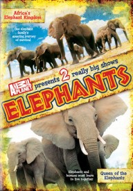 Review and Giveaway: Animal Planet Africa’s Elephant Kingdom and Queen Of The Elephants CLOSED