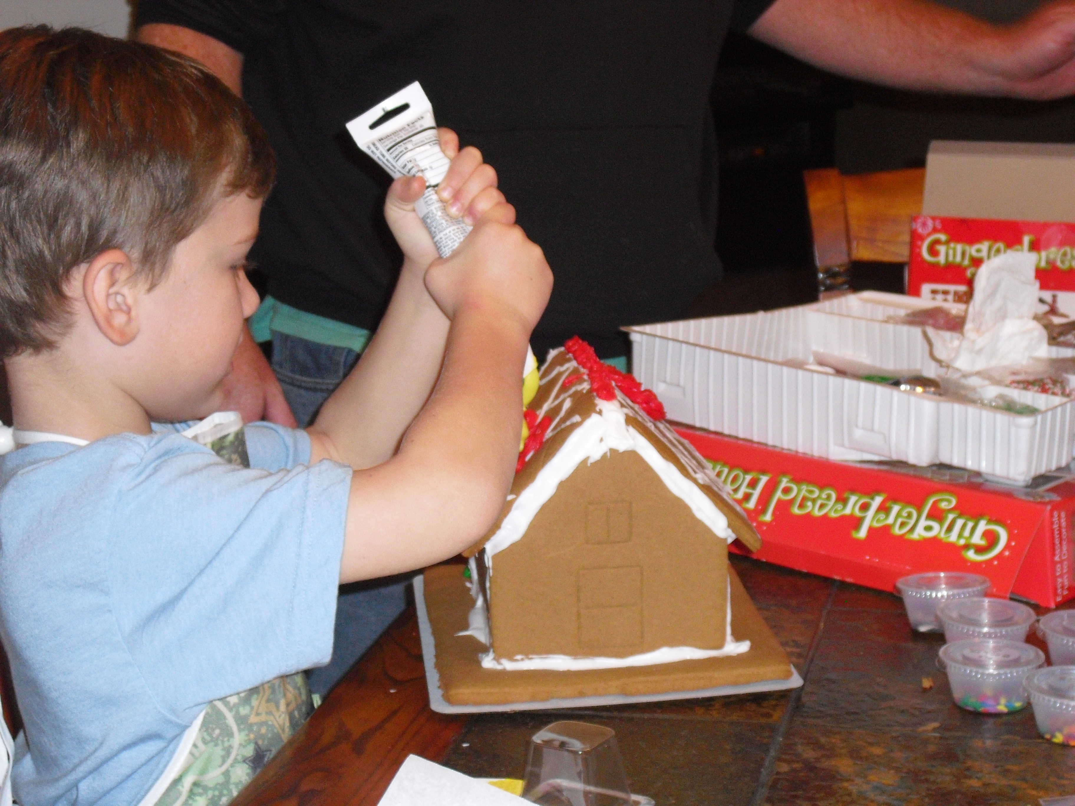 Wordless Wednesday: Making Gingerbread Houses