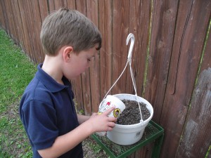 wyatt watering