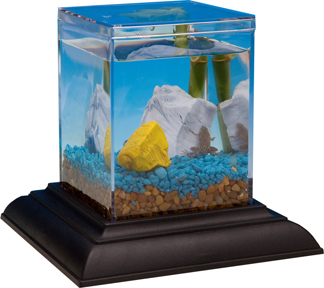 eco aquarium