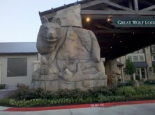 Our Stay At Great Wolf Lodge in Grapevine, TX