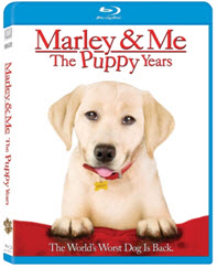 Marley & Me The Puppy Years DVD and My Interview With Michael Damien