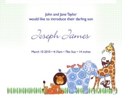 Beautiful Birth Announcements from Little One Prints
