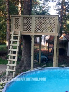 diy tree house