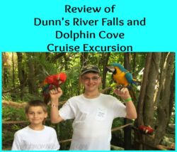 Dunn’s River Falls and Dolphin Cove Excursion in Jamaica Review